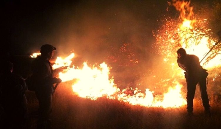 «Չայնիի ոլորաններում» այրվել է մոտ 80 հա խոտածածկույթ